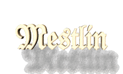 Besuchen Sie die Homepage eines mecklenburgischen Dorfes - Mestlin