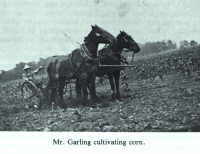Bauer Garling